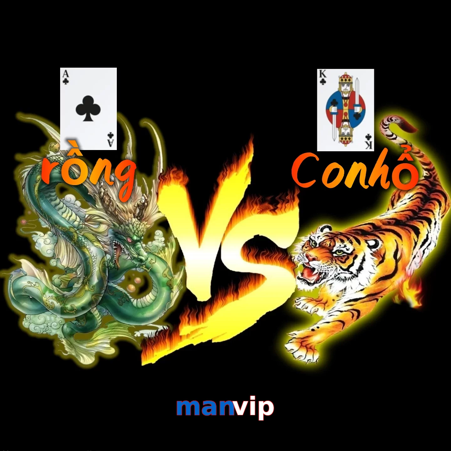 manvip